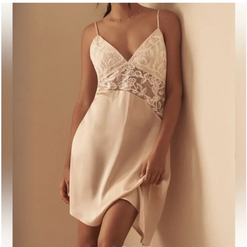 Anthropologie Lace Chiffon Slip or Nightie